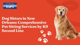 Professional Dog Sitters in New Orleans for Reliable Pet Care