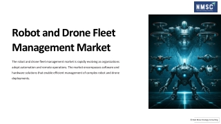 Robot and Drone Fleet Management Market Overview