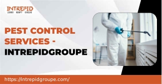 Trusted Pest Control Services by Intrepid: Your Partner in a Pest-Free Environme