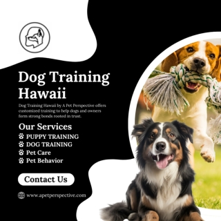 Dog Training Hawaii