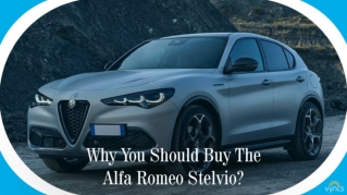 Why You Should Buy The Alfa Romeo Stelvio