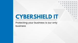 CyberShield IT