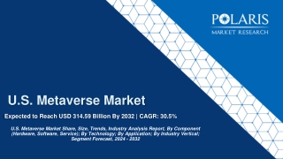 U.S. Metaverse Market