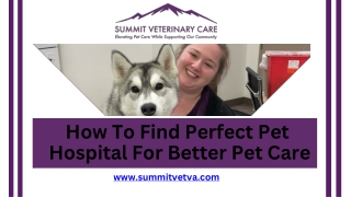 How To Find Perfect Pet Hospital For Better Pet Care