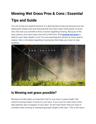 Mowing Wet Grass Pros & Cons _ Essential Tips and Guide