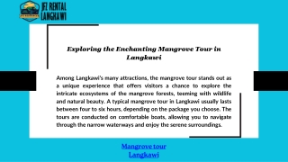 Exploring the Enchanting Mangrove Tour in Langkawi