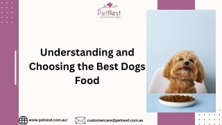 Understanding and Choosing the Best Dog Food