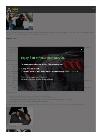 Removing dog hair from car