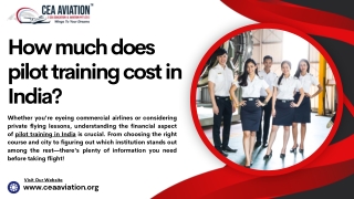 How much does pilot training cost in India?