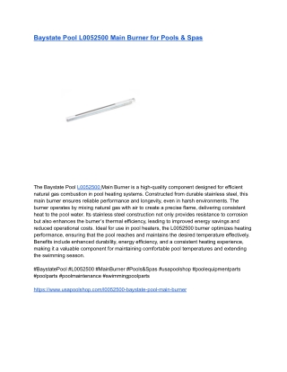 Baystate Pool L0052500 Main Burner for Pools & Spas