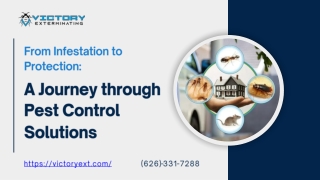 From Infestation to Protection_A Journey through Pest Control Solutions