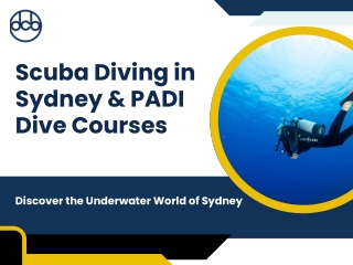 Scuba Diving in Sydney & PADI Dive Courses