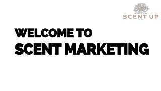 Transform Your Space Top Scent Marketing Diffusers for Businesses