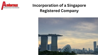 Efficient Work Pass Application Services in Singapore