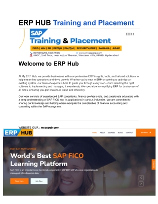 ERP HUB Training and Placement (1)