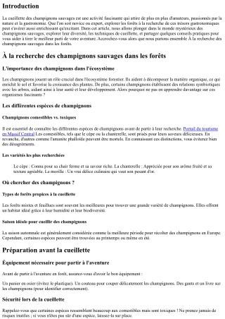 À la recherche des champignons sauvages dans les forêts