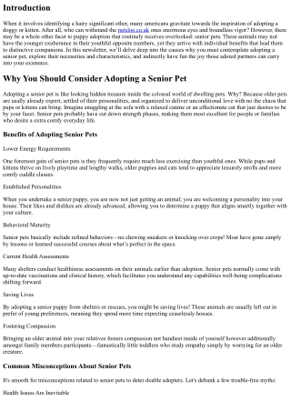 Why you Should Adopt a Senior Animal