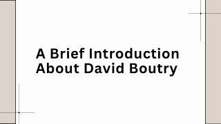 A Brief Introduction About David Boutry