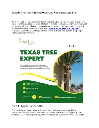 Affordable Tree Service in Houston: Quality Care Without Breaking the Bank