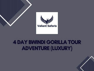 4 Day Bwindi Gorilla Tour Adventure (Luxury)