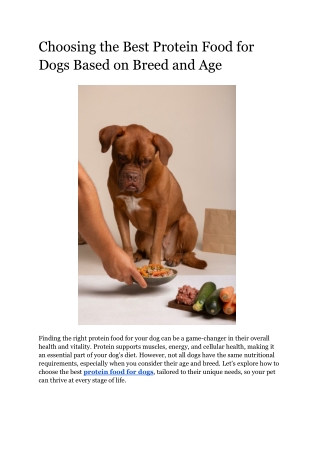 Choosing the Best Protein Food for Dogs Based on Breed and Age