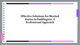 Professional Blocked Drains Services in Paddington