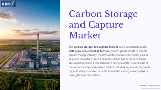 Emerging Trends in the Carbon Storage and Capture Market