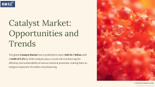 Catalyst Market Insights and Future Outlook