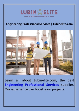 Engineering Professional Services  Lubinelite.com