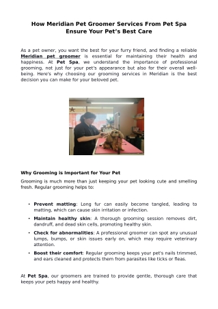 How Meridian Pet Groomer Services From Pet Spa Ensure Your Pet’s Best Care