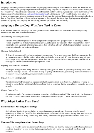 Adopting a Rescue Dog: What You Need to Know