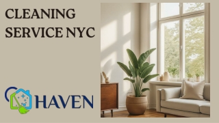 Cleaning Service NYC