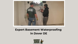 Expert Basement Waterproofing