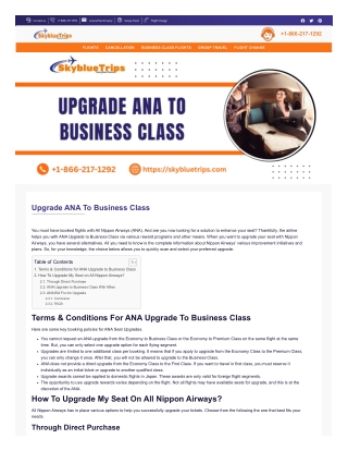 skybluetrips-com-upgrade-ana-to-business-class-