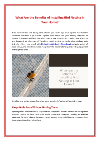 What Are the Benefits of Installing Bird Netting in Your Home