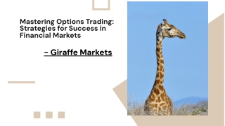 Options Trading with Giraffe Markets: A Simple Guide to Getting Started
