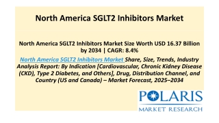 North America SGLT2 Inhibitors Market