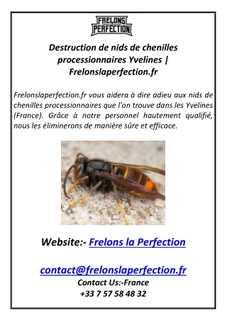 Destruction de nids de chenilles processionnaires Yvelines  Frelonslaperfection.fr