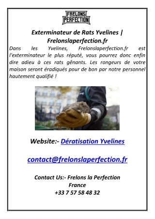 Exterminateur de Rats Yvelines  Frelonslaperfection.fr