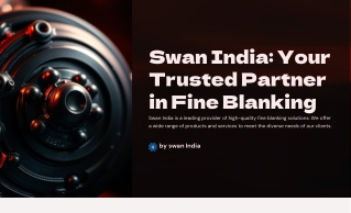 Swan-India Fine-Blanking