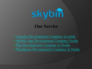 Top Angular Development Company in Noida | Skybin