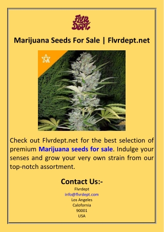 Marijuana Seeds For Sale  Flvrdept.net
