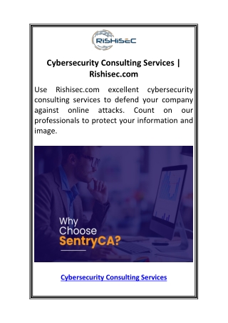 Cybersecurity Consulting Services  Rishisec.com.pdf2