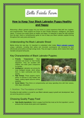 How to Keep Your Black Labrador Puppy Healthy and Happy