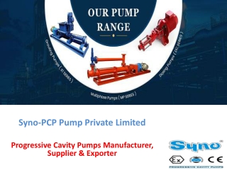 progressive cavity pumps manufacturer and supplier