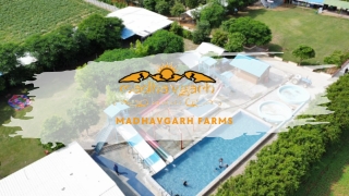 Weekend Trips From Delhi