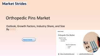 Orthopedic Pins Market Forecast 2025-2033: Growth Insights