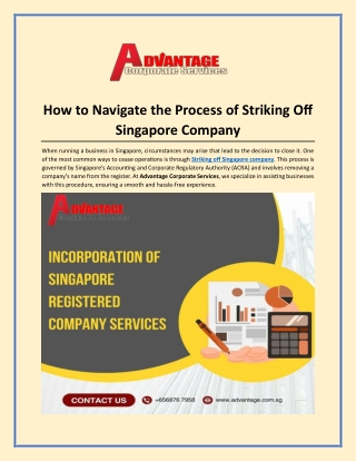 How to Navigate the Process of Striking Off Singapore Company