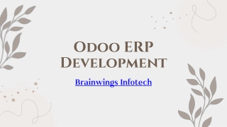 Odoo ERP Development