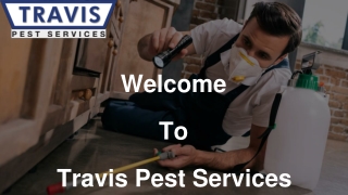 Residential Pest Control Stuart